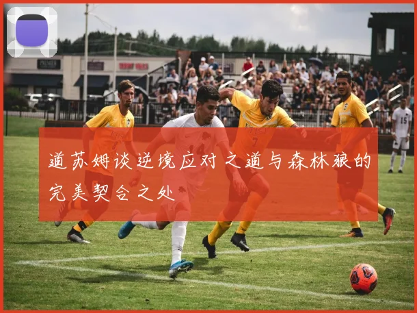 道苏姆谈逆境应对之道与森林狼的完美契合之处