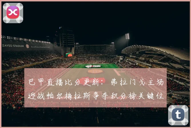 巴甲直播比分更新：弗拉门戈主场迎战帕尔梅拉斯争夺积分榜关键位置