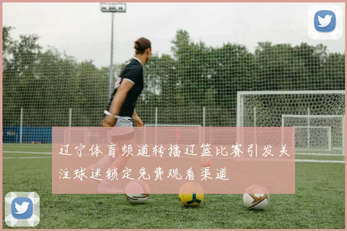 辽宁体育频道转播辽篮比赛引发关注球迷锁定免费观看渠道