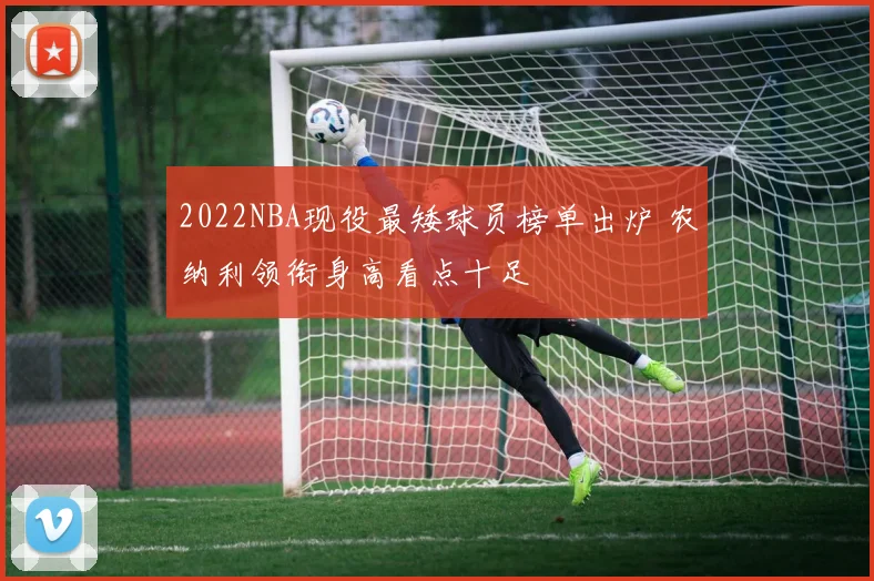 2022NBA现役最矮球员榜单出炉 农纳利领衔身高看点十足